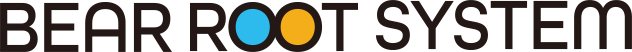 ベアールートシステム